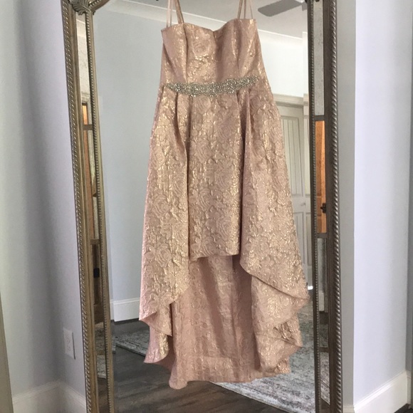 High to Low - Prom Dress - from Merle Norman - Picture 6 of 8